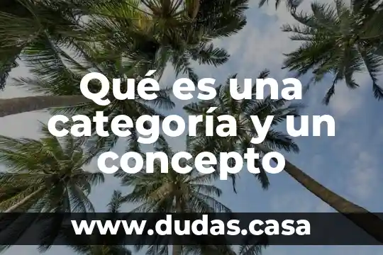 Qué es una categoría y un concepto