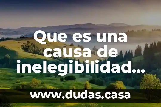 Que es una causa de inelegibilidad en mexico