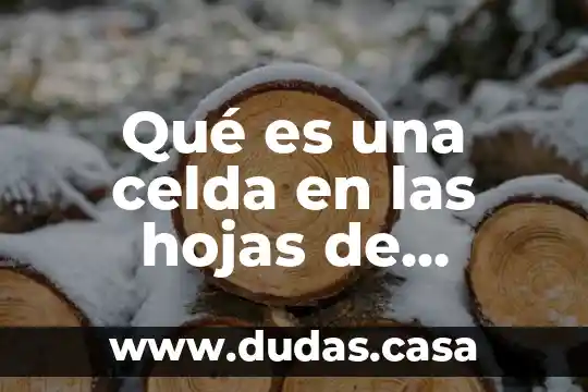 Qué es una celda en las hojas de cálculo