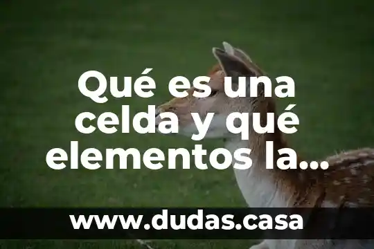 Qué es una celda y qué elementos la componen