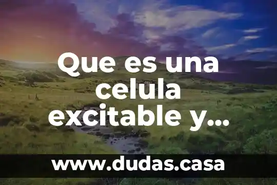 Que es una celula excitable y cuales son