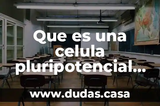Que es una celula pluripotencial anatomia y su funcion