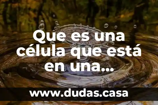 Que es una célula que está en una bacteria