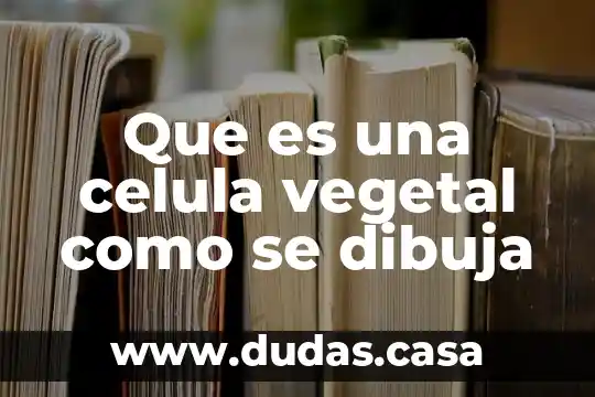 Que es una celula vegetal como se dibuja