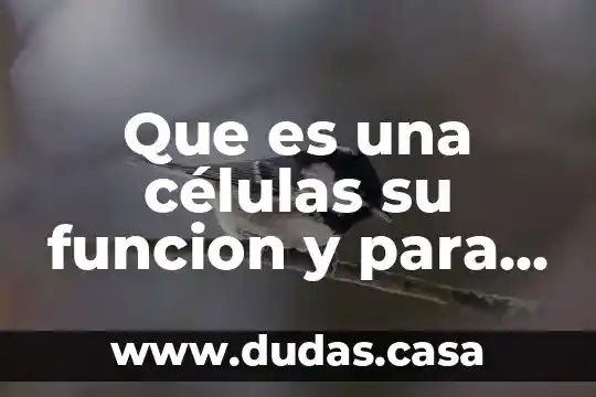 Que es una células su funcion y para que sirven