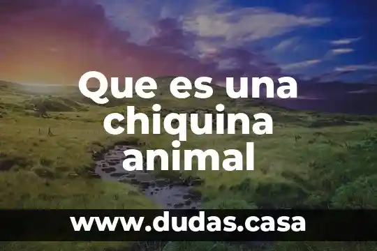 Que es una chiquina animal