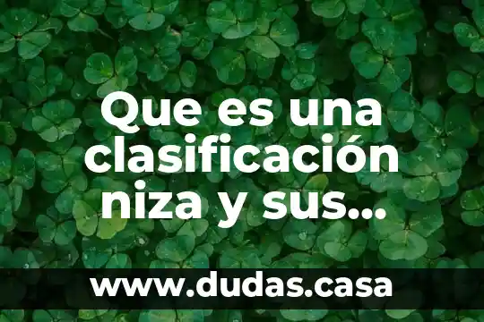 Que es una clasificación niza y sus clases cuenta