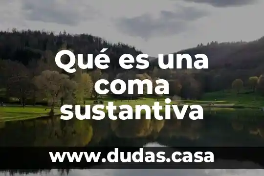 Qué es una coma sustantiva