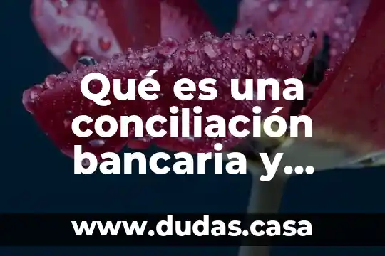 Qué es una conciliación bancaria y tipos