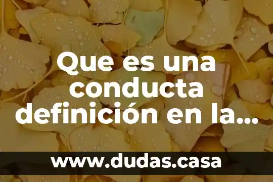 Que es una conducta definición en la psicología