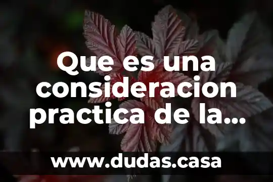 Que es una consideracion practica de la desigualdad de genero