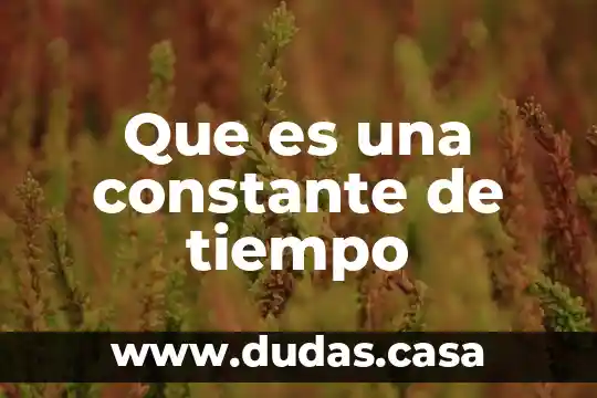 Que es una constante de tiempo