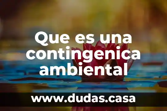 Que es una contingenica ambiental