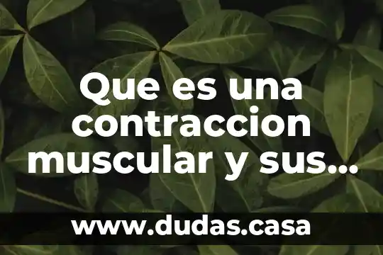 Que es una contraccion muscular y sus tipos