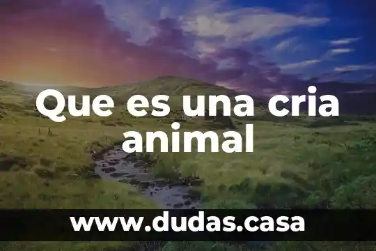 Que es una cria animal