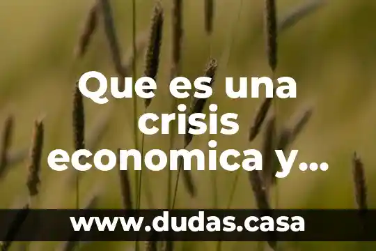 Que es una crisis economica y sus elementos