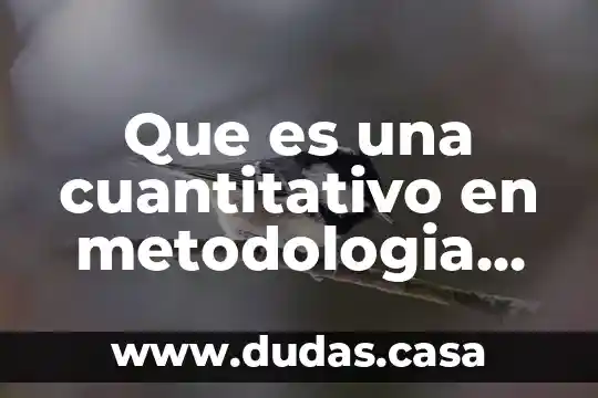Que es una cuantitativo en metodologia dela investigacion