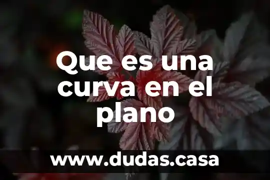 Que es una curva en el plano