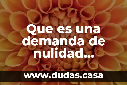 Que es una demanda de nulidad administrativa df