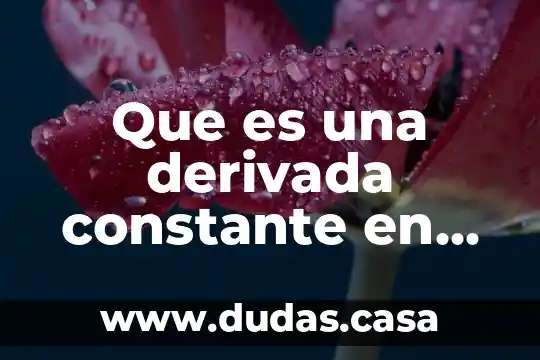 Que es una derivada constante en matemáticas