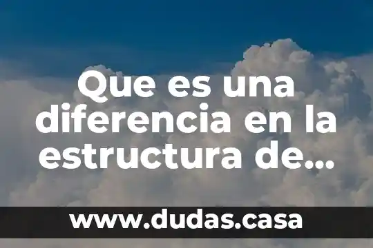 Que es una diferencia en la estructura de la argumentacion