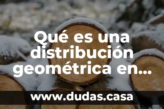 Qué es una distribución geométrica en estadística