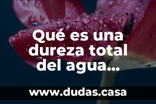 Qué es una dureza total del agua potable