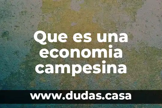 Que es una economia campesina