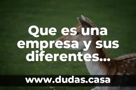 Que es una empresa y sus diferentes tipos