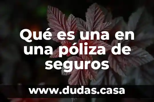 Qué es una en una póliza de seguros