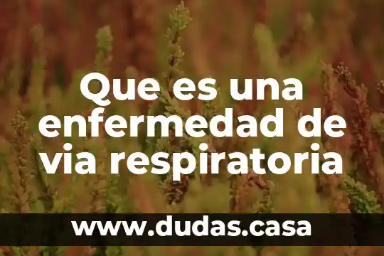 Que es una enfermedad de via respiratoria