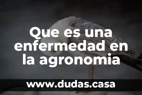 Que es una enfermedad en la agronomia