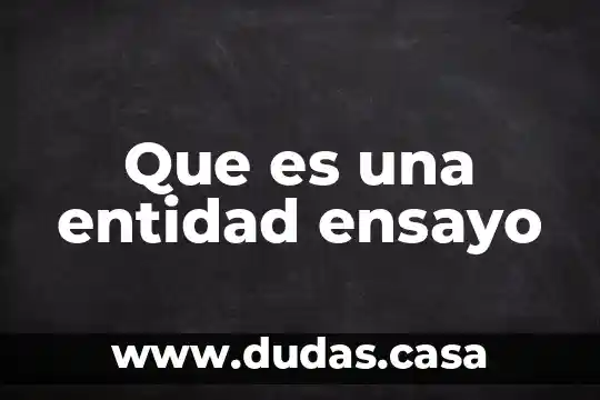 Que es una entidad ensayo