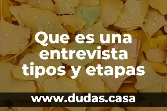 Que es una entrevista tipos y etapas