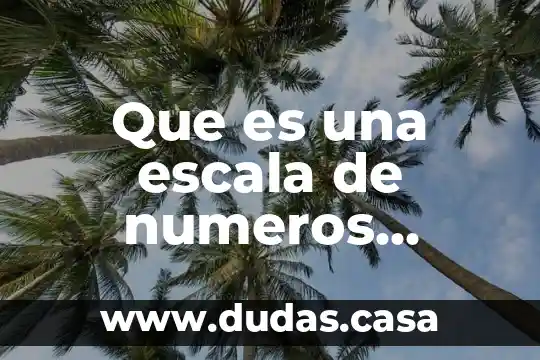 Que es una escala de numeros adimensionales