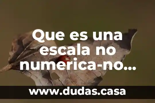 Que es una escala no numerica-no estruturada