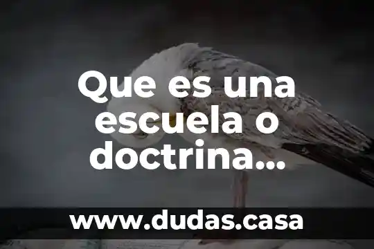 Que es una escuela o doctrina economica