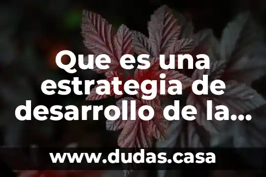 Que es una estrategia de desarrollo de la atencion