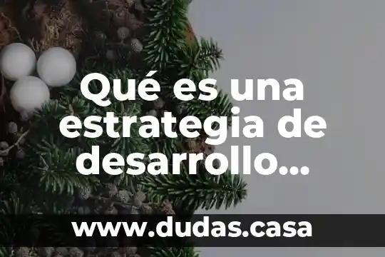 Qué es una estrategia de desarrollo social educación