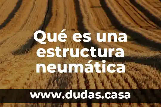Qué es una estructura neumática