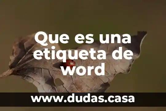 Que es una etiqueta de word