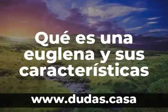 Qué es una euglena y sus características