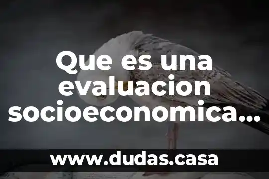 Que es una evaluacion socioeconomica concepto