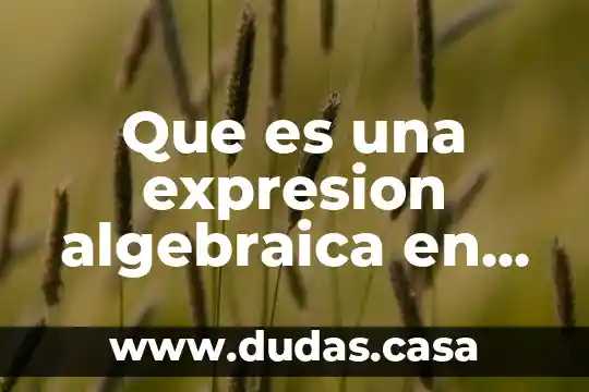 Que es una expresion algebraica en pocas palabras