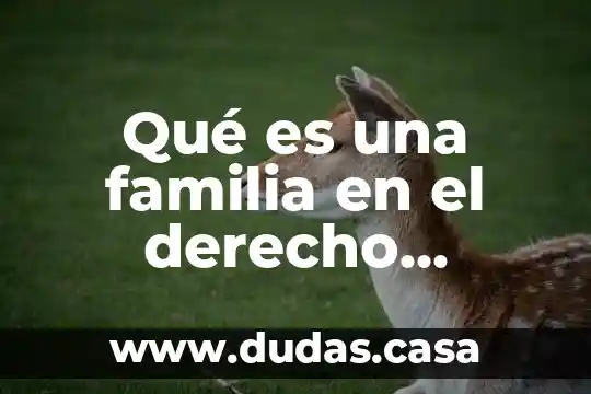 Qué es una familia en el derecho romano