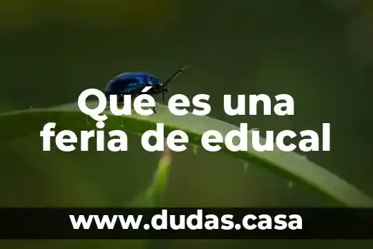 Qué es una feria de educal