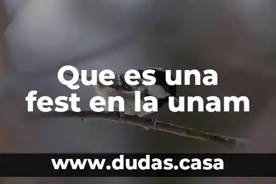 Que es una fest en la unam