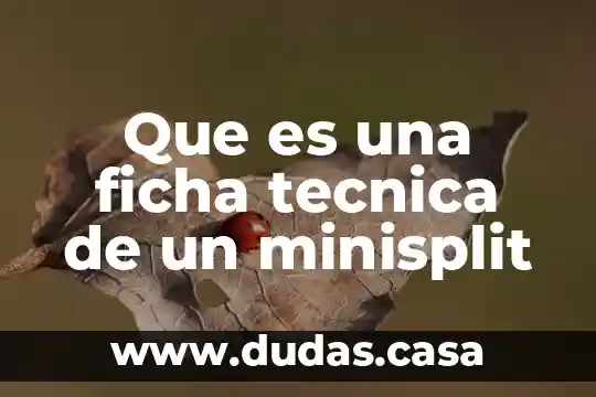 Que es una ficha tecnica de un minisplit