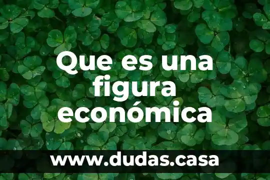 Que es una figura económica