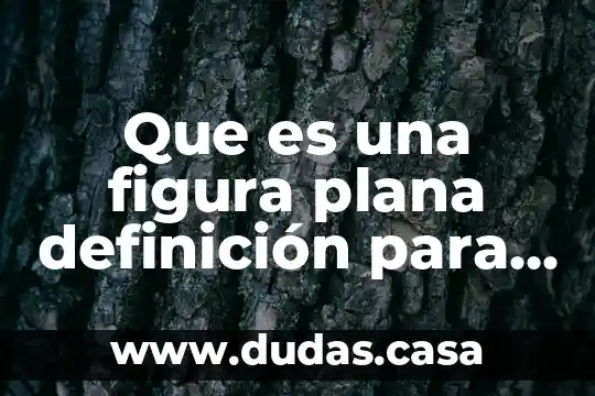 Que es una figura plana definición para niños